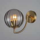 Бра "Джавиер" Е27 40Вт золото-дымчатый 22,7х15 см - фото 23174747