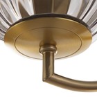 Бра "Джавиер" Е27 40Вт золото-дымчатый 22,7х15 см - фото 23174751