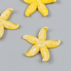 Фигурка для флорариума полистоун "Толстая жёлтая морская звезда" 4,2х4,5 см - фото 320492830