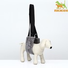 Ремень вспомогательный для лап, размер M, ОГ 35-40, вес 6-10 кг, серый - Фото 1