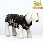 Попона послеоперационная, хлопок, размер XXL (ДС 56, ОГ 78-88 см, вес 40-60 кг), камуфляж - Фото 1