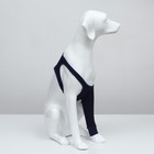 Бандаж на лапу послеоперационный, размер S, ОГ 40-52, длина 17 см, хлопок, спандекс, синий - Фото 3