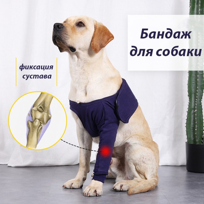 Бандаж на лапу послеоперационный, хлопок+спандекс, размер L (ОГ 54-68, длина 26 см), синий - Фото 1