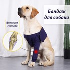 Бандаж на лапу послеоперационный, хлопок+спандекс, размер XL (ОГ 64-84, длина 35 см), синий - Фото 1
