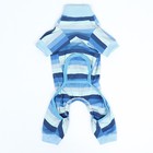 Попона послеоперационная, вискоза, размер M (ОШ 25, ОГ 38, ОТ 31 см, вес 5-8 кг), голубая - фото 7847879