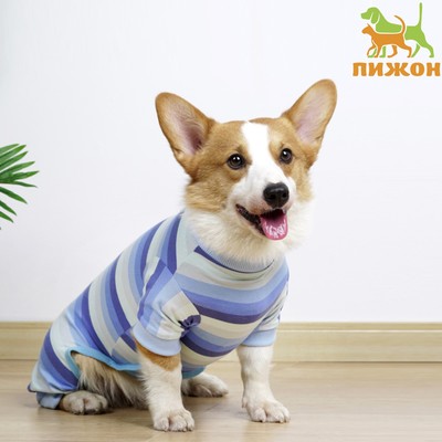 Попона послеоперационная, вискоза, размер XL (ОШ 31, ОГ 50, ОТ 39 см, вес 12-18 кг), голуба