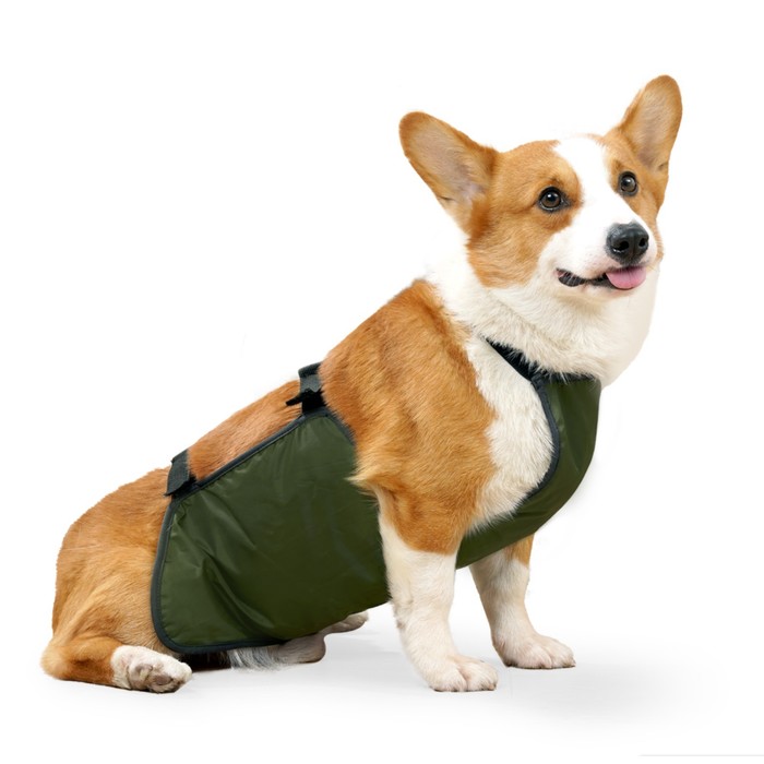 Нагрудник послеоперационный для собак весом 4-7 кг, размер S (ОГ 35, ОТ 35 см), зеленый - Фото 1