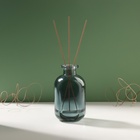 Диффузор для эфирных масел «Сумерки», 150 мл, прозрачный, 5×7×12 см, МИКС - Фото 4