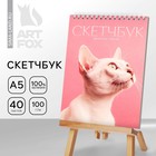 Скетчбук А5, 40 л 100 г/м2 «Кошка» - фото 7848691