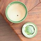 Горшок цветочны Арго №2, Зеленый 2,8 л - фото 23174974