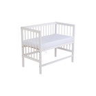 Кроватка детская приставная Фея 100 «Лео», цвет белый - фото 119048357 Кроватка детская приставная Фея 100 «Лео», цвет белый - фото 119048357