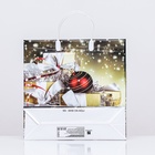 Пакет «Новогодний подарок», мягкий пластик, 30×30 120 мкм. - Фото 3