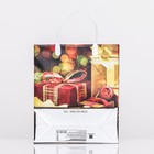 Пакет новогодний «Подарок», мягкий пластик, 26×23 см - Фото 2