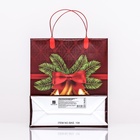 Пакет новогодний «Колокольчик», мягкий пластик, 26×23 см - Фото 3