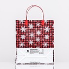 Пакет новогодний «Снежинка в клеточку», мягкий пластик, 26×23 см - Фото 2