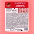 Гель для стирки концентрат, QUALITA, для цветного, 5 л 10092645