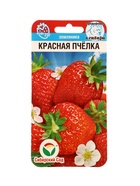 Семена Земляника ремонтантная «Красная пчёлка», 10 шт., «Сибирский сад» - Фото 1