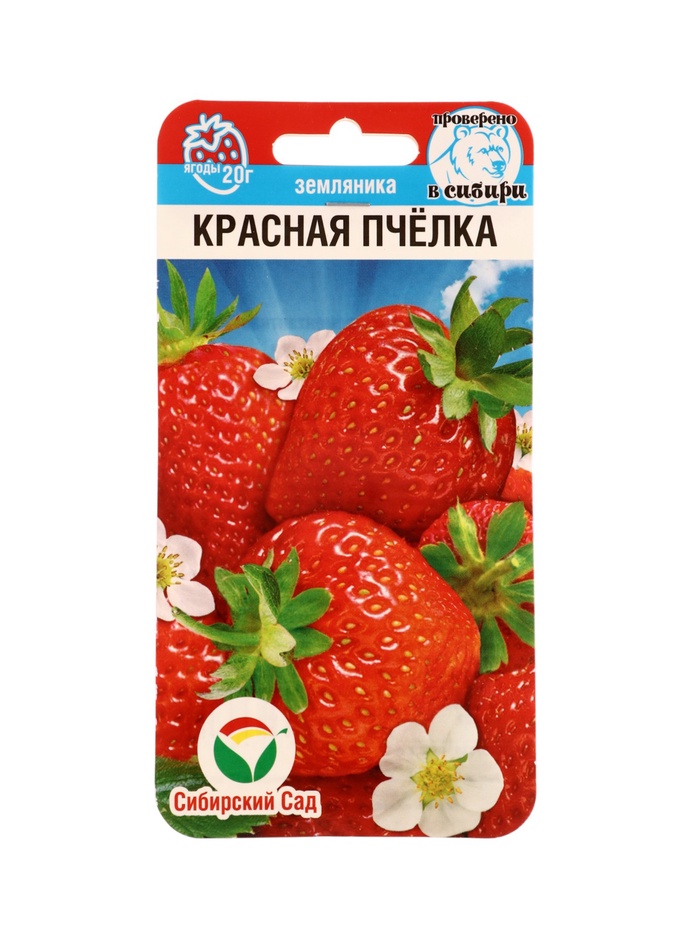 Земляника "Красная пчелка", 10 шт - Фото 1