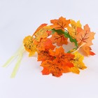 Карнавальный набор «Осенняя муза»: юбка, венок, палочка - фото 23359368