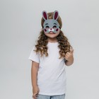 Набор карнавальных масок «Ушастая вечеринка», 5 шт., фетр - Фото 9
