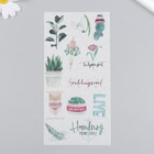 Наклейки для творчества бумага "Растения в горшочках" набор 3 листа 10х20 см - фото 7849334
