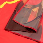 Флаг СССР с портретом Сталина, 90 х 135 см, полиэфирный шёлк, без древка - Фото 3