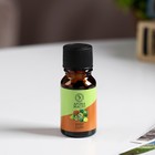 Эфирное масло "Киви и Лайм", 10 мл, Богатство Аромата - Фото 2