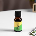 Эфирное масло «Абсент», 10 мл, Богатство Аромата - Фото 2