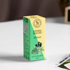 Эфирное масло «Абсент», 10 мл, Богатство Аромата - Фото 3