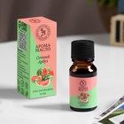 Эфирное масло «Сочный арбуз», 10 мл, Богатство Аромата - Фото 1