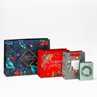 Набор новогодних пакетов «Счастья и любви» - фото 61040736