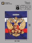 Пакет подарочный «Моя Россия», полиэтиленовый с вырубной ручкой, 30×40 см 50 мкм - Фото 1