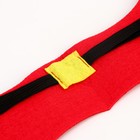 Карнавальный аксессуар-крылья «Дракон», цвет красный - фото 24618387