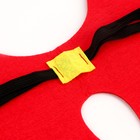 Карнавальный аксессуар-крылья «Парящий дракон», цвет красный - фото 24622634