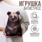 Антистресс игрушка «Медведь» - фото 300797403