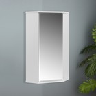 Шкаф навесной для ванной комнаты угловой "ПШ" с зеркалом, 48 х 34 х 73 см - фото 2152699