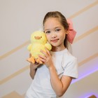 Мягкая игрушка Milo toys «Утенок с сюрпризом» - Фото 9