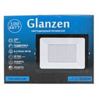 Светодиодный прожектор GLANZEN FAD-0010-100 - Фото 4