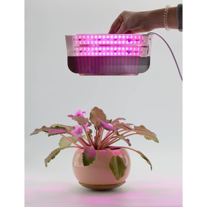 Светодиодный светильник для растений GLANZEN RPD-0001-60-grow - фото 1888795239