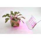 Светодиодный светильник для растений GLANZEN RPD-0001-60-grow - Фото 5