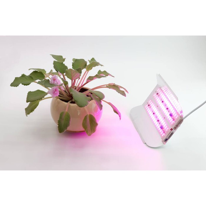 Светодиодный светильник для растений GLANZEN RPD-0001-60-grow - фото 1888795240
