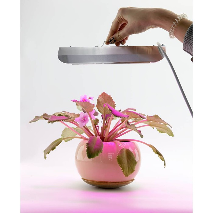 Светодиодный светильник для растений GLANZEN RPD-0001-60-grow - фото 1907908051