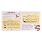 Набор опытов «Тайны дракона», 8 опытов - Фото 21