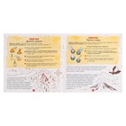 Набор опытов «Тайны дракона», 8 опытов - Фото 22