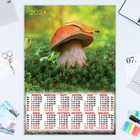Календарь листовой "Грибы - 1" 2024 год, 42х60 см, А2 - фото 11489309