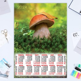 Календарь листовой "Грибы - 1" 2024 год, 42х60 см, А2