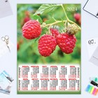Календарь листовой "Ягоды - 2" 2024 год, 42х60 см, А2 - фото 11489310