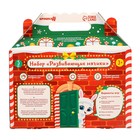 Подарочный набор развивающих тактильных мячиков «Праздничный домик», 5 шт., Крошка Я - Фото 10