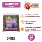 Семена Фацелия «Рецепты дедушки Никиты», 0.5 кг 9759665 - фото 16569547