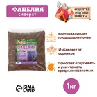 Семена Фацелия «Рецепты дедушки Никиты», 1 кг 9759666 - фото 16535011